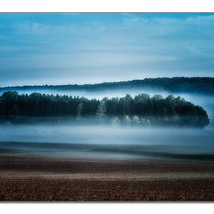 Nebellandschaft1