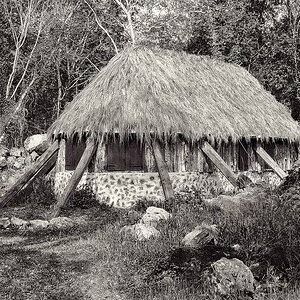 TZ P1010388 SW