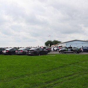 DSC 0118