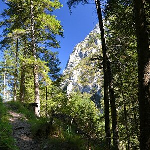 KR Wald 2
