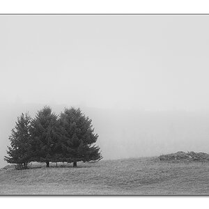 Nebellandschaft3