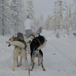 They can go for miles