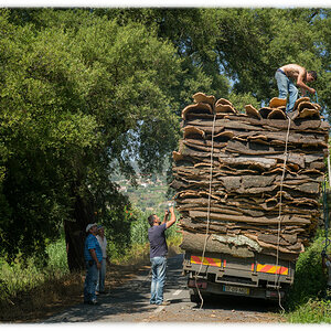 douro cork