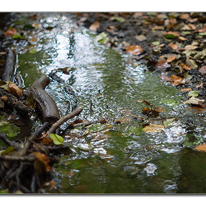 wasser