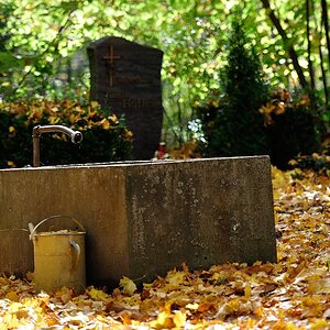 DSC 8615 Brunnen