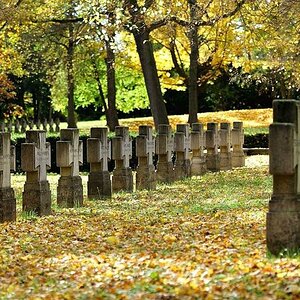 DSC 8652 Herbst