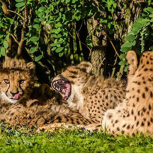 20130929 4243 [NIKON D7100] 400 mm,1 1250 Sek. bei ƒ   6,3