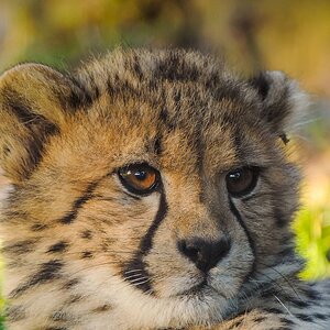 20130929 9101 [NIKON 1 V1] 400 mm,1 40 Sek. bei ƒ   4,0