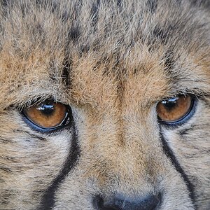 20130929 9136 [NIKON 1 V1] 200 mm,1 40 Sek. bei ƒ   4,0