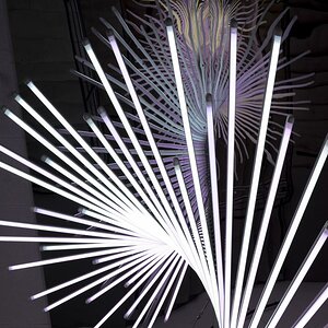 Licht und Schatten, S/W und Farbe