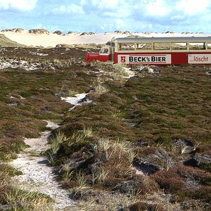 Sylt+Borgw Zug 2f: Brekina-Modell "Sylter Inselbahn" in die Dünen von Nord-Sylt versetzt.