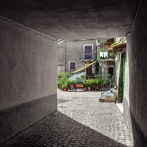 TZ ZIM 7061 2
