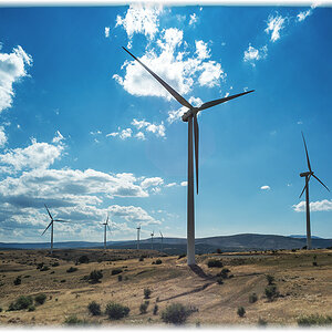 windmills
