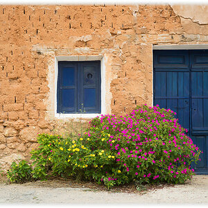 flower house