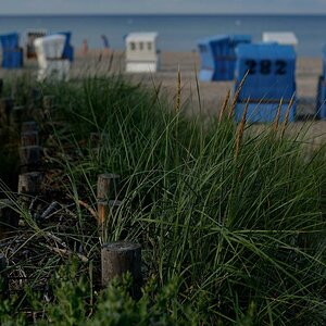 Strand von Damp