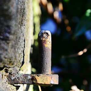 DSC 0895fks70