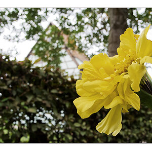 Vorgartenschmuck