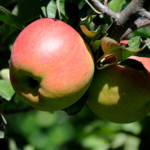DSC 5359
