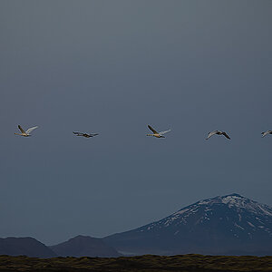 20131014 Nachtflug über die Hekla