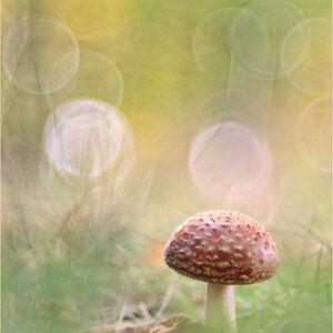 ~ mystery ~