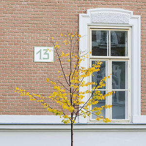 Pav. 13