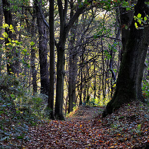 DSC 2340 khg