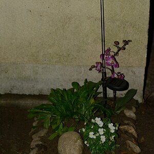 DSC 8099