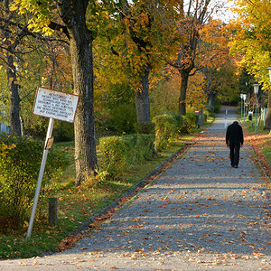 Herbst in der Seele