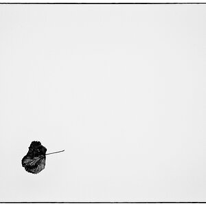 Nikkor PZ14455