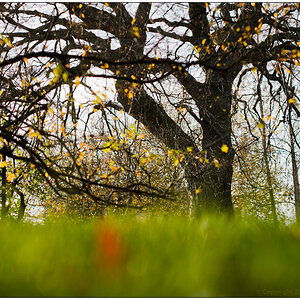 20131117 Kiel - Alter botanischer Garten