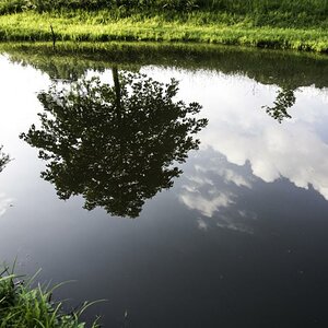 20120601 DSC 0400