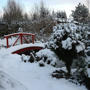 comp Brücke Jan2013