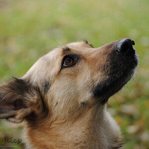 Zoey001