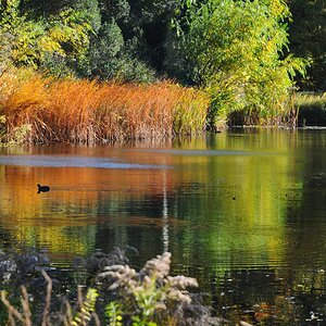 Herbst