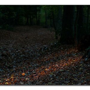 restlicht4