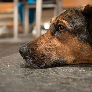 Portrait von Mrvi5