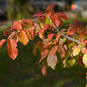 DSC 5368