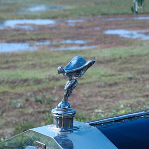 DSC 2495