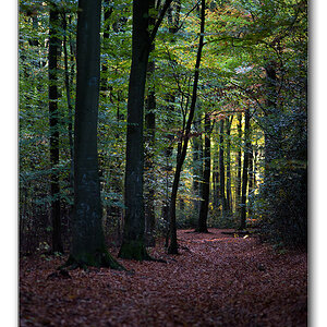restlicht10