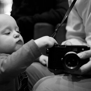 Nikon Treffen Usedom 2013 1037192