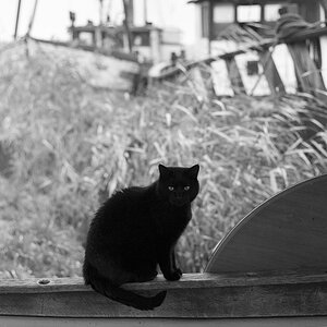 Nikon Treffen Usedom 2013 1037338