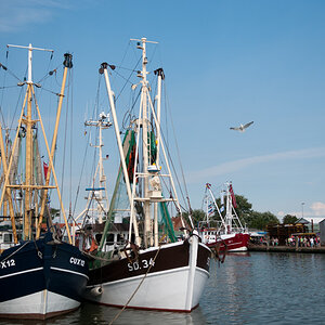 DSC4863