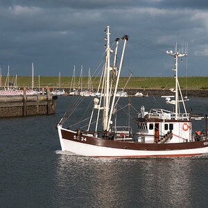 DSC4796