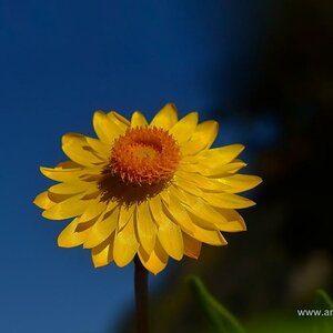 Herbstfarben