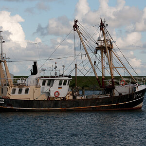 DSC5061