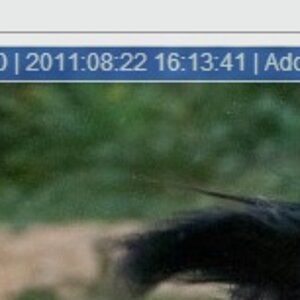 EXIF