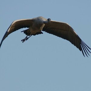 20130930  HIG5584