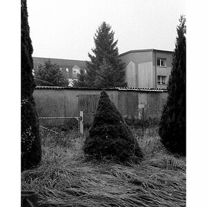 neuenkirchen2