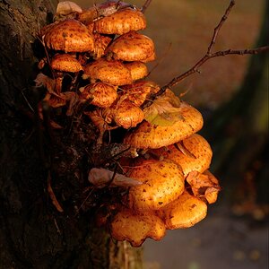aacomp usedom 20131101 0193