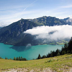 wowarich5